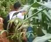Ngintip Ngintip Abg Di Kebun Singkong